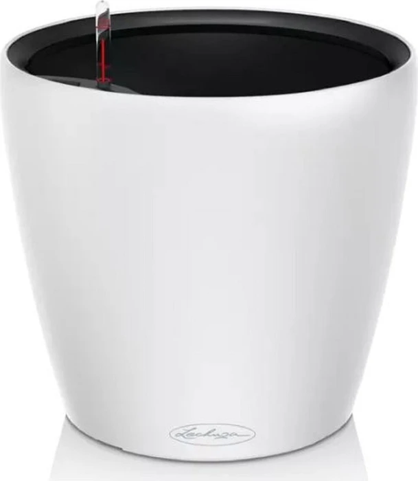 Lechuza Classico Color LS 43