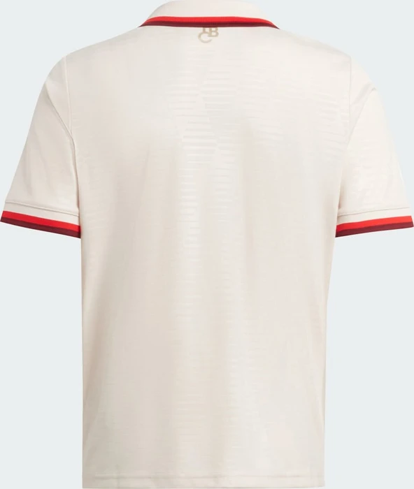 adidas FC Bayern München 2024/2025 Ausweichtrikot linen (Junior)