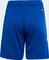 adidas Tiro 24 Shorts royal blue/white (Junior) Vorschaubild