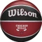 Wilson NBA Team Tribute Basketball Vorschaubild
