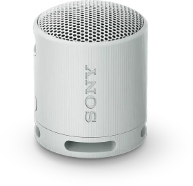 Sony SRS-XB100 grau