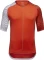 Gore Wear C5 Optiline Trikot kurzarm (Herren) Vorschaubild