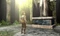 Fire Emblem Echoes: Shadows of Valentia (3DS) Vorschaubild
