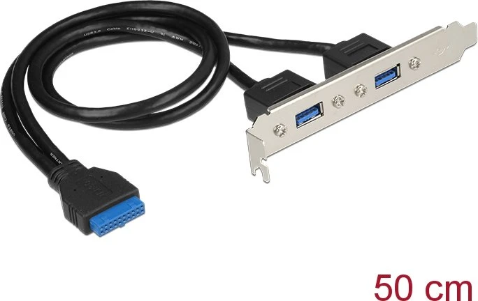 DeLOCK Slotblende, 2x USB-A 3.0