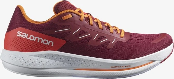 Salomon Spectur (Herren)