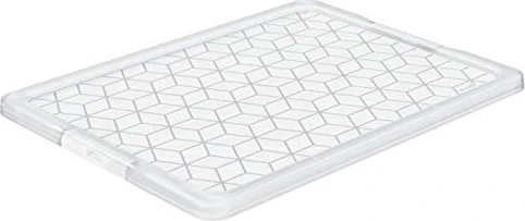 Rotho Evo Easy Storage Deckel für Aufbewahrungsbox 791x28x593mm, transparent/transparent