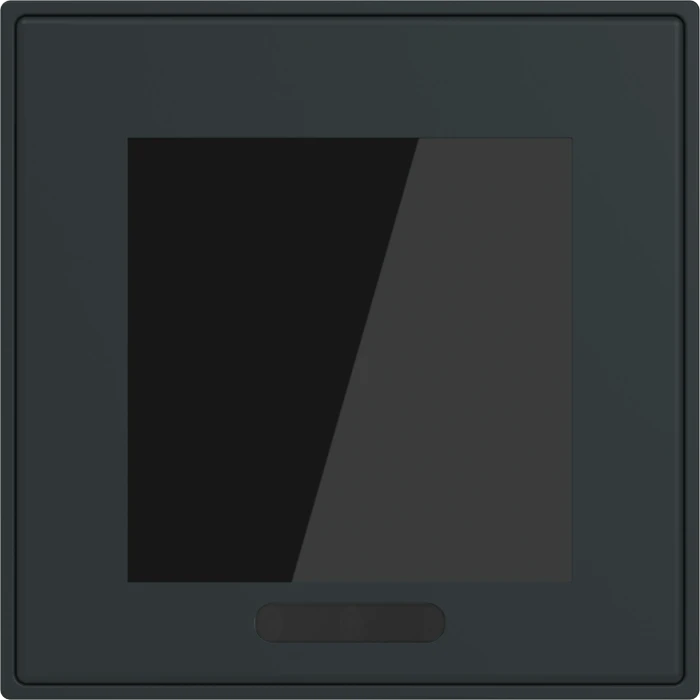 Busch-Jaeger SD/U12.70.11-4015 2.4" Display 70