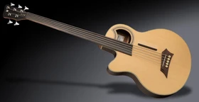 Warwick RockBass Alien Deluxe 5-String Fretless Lefthand