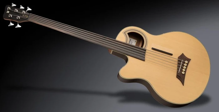 Warwick RockBass Alien Deluxe 5-String Fretless Lefthand