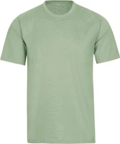 trigema Deluxe Baumwolle T-Shirt kurzarm green tea (Herren)