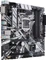 ASUS Prime Z390M-Plus (Intel 1151 v2) Vorschaubild