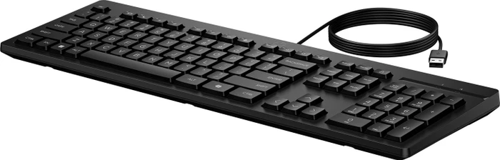 HP 125 G2 kabelgebundene Tastatur, schwarz, mit Copilot-Taste, USB, RO