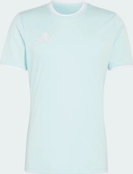 adidas Entrada 26 Trikot kurzarm halo mint/white (Herren)