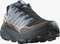 Salomon Thundercross GTX flint stone/carbon/orange pepper (Herren) Vorschaubild