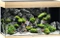 Juwel Rio 180 LED Aquarium Vorschaubild