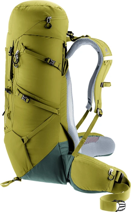 Deuter Aircontact Core 40+10 cactus/ivy