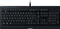 Razer Power Up Bundle V2 Gaming Set, Cynosa Lite, DeathAdder Essential, Gigantus V2 L, BlackShark V2 X, USB, DE Vorschaubild