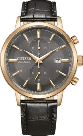 Citizen CA7067-11H