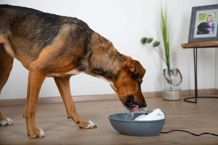 Kerbl Trinkbrunnen Classic Pet Fountain, 1.75l, weiß/grau