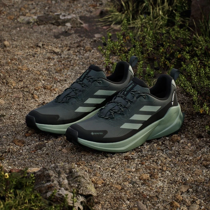 adidas Terrex Trailmaker 2.0 GTX legend ivy/silver green/core black (Herren)