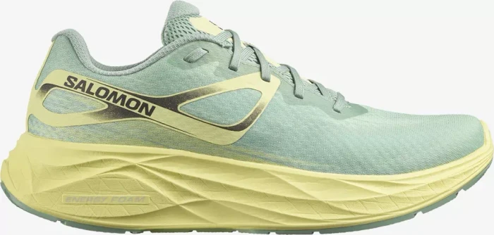 Salomon Aero Glide (Herren)