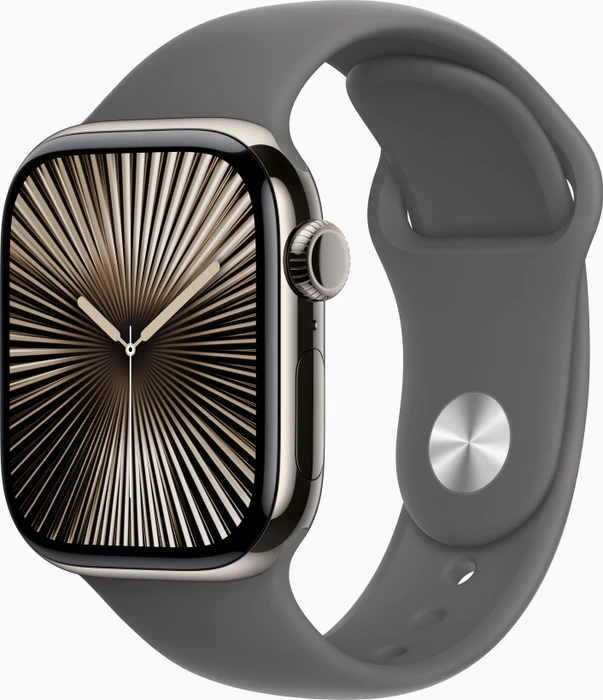 Apple Watch Series 10 (GPS + Cellular) 42mm Titan natur mit Sportarmband M/L steingrau