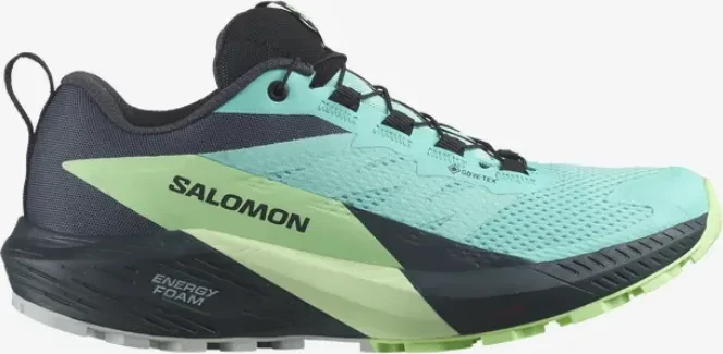 Salomon Sense Ride 5 GTX blue radiance/green ash/india ink (Damen)