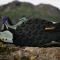 adidas Terrex Trailmaker 2 silver green/linen green/core black (Herren) Vorschaubild
