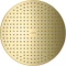 Hansgrohe Axor ShowerSolutions Kopfbrause 300 2jet brushed brass Vorschaubild