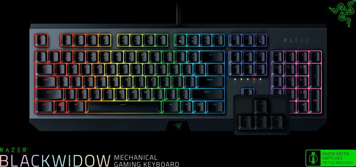 Razer BlackWidow 2019, Razer GREEN, USB, DE