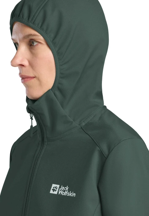 Jack Wolfskin Bornberg Hoody Funktionsjacke sago palm (Damen)