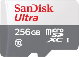 SanDisk Ultra R120 256GB Kit, UHS-I U1, Class 10