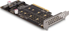 DeLOCK 2x M.2 PCIe, PCIe 4.0 x8 (89837)
