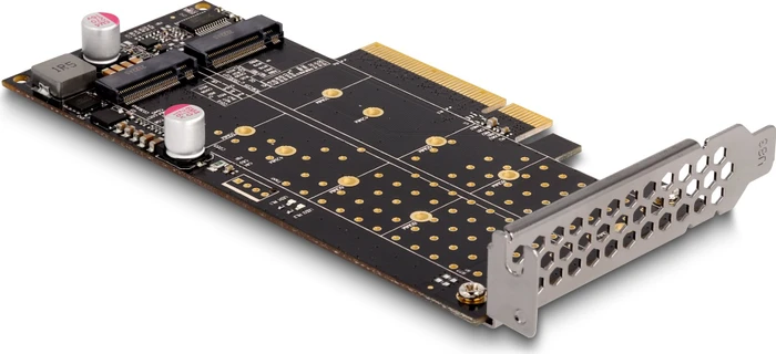 DeLOCK 2x M.2 PCIe, PCIe 4.0 x8