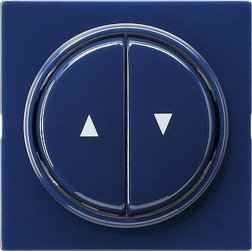 Gira Abdeckung und Wippe 2fach, blau