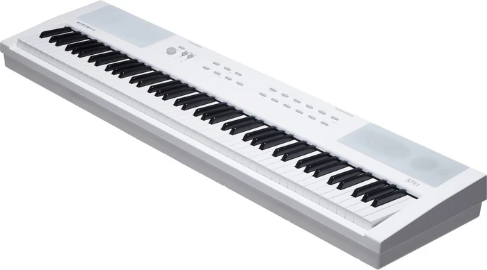 Kurzweil KaE1