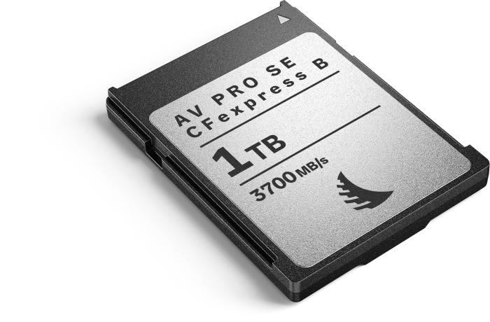 Angelbird AV PRO SE CFexpress MK2 R3700/W2300 CFexpress 4.0 Type B 1TB