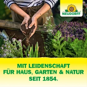 Neudorff BioKraft Vitalkur für Rosen AF, 500ml