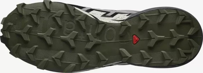 Salomon Speedcross 6 Gore-Tex ashes of roses/black/olive night (Damen)