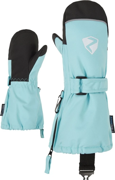 Ziener Lanup AS AW Skihandschuhe (Junior)