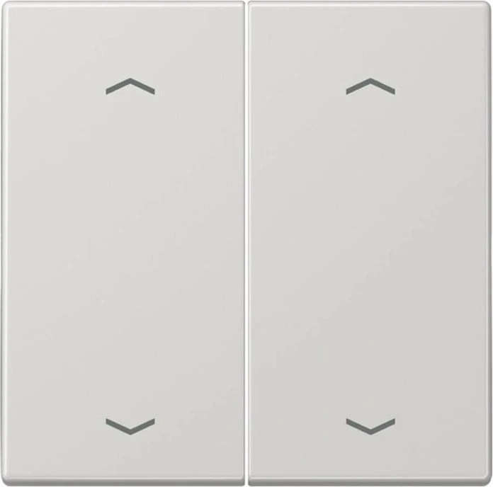 Jung Wippe 2fach, F10, mit Pfeilsymbolen, Duroplast, Serie LS, lichtgrau