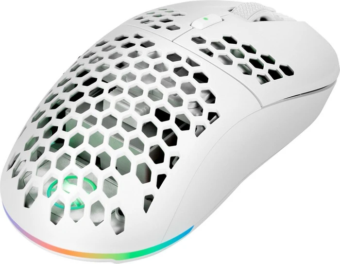 Gamiac PX71 Wireless RGB Gaming Maus schwarz, USB