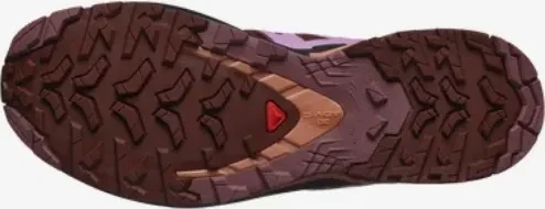Salomon XA Pro 3D V9 rum raisin/orchid bouquet/canyon clay (Damen)