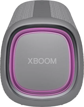 LG XBoom Go DXGQ7 grau