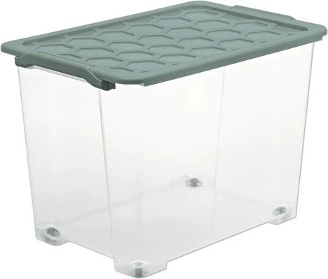 Rotho Evo Safe Keeping Aufbewahrungsbox, 65l, transparent/mistelgrün, inkl. Deckel (1008205092)