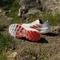 adidas Terrex Agravic Speed cloud white/impact orange/dash grey (Damen) Vorschaubild