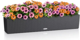 Lechuza Balconera Cottage 100 granit