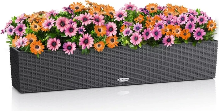 Lechuza Balconera Cottage 100 granit