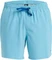 Quiksilver Surfsilk Solid 16" Badeshorts (Herren) Vorschaubild