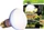 Exo Terra Reptile Daylight Basking Spot, Neodym Tageslichtlampe, 75W (PT2132)